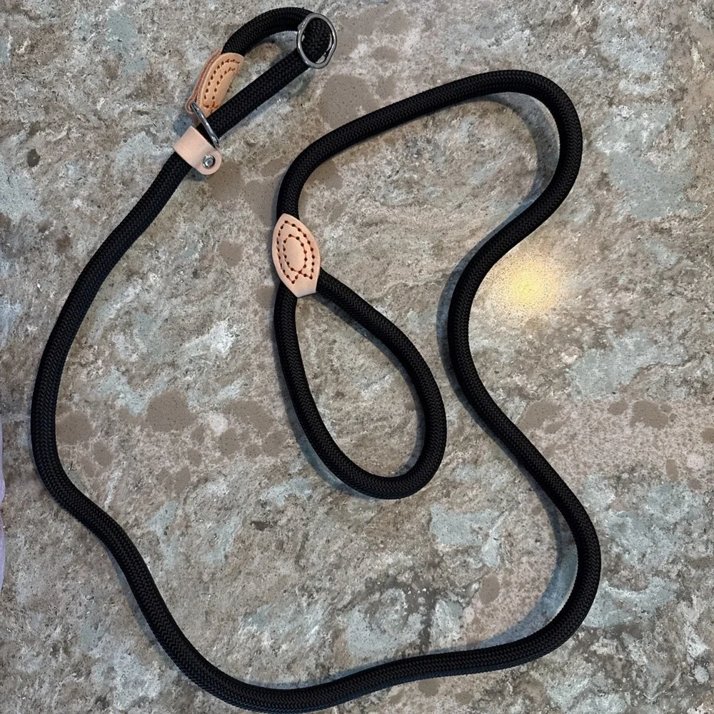5' Nylon Leather Slip Lead Dog Leash Black Dog Training‎ Walking Exercise